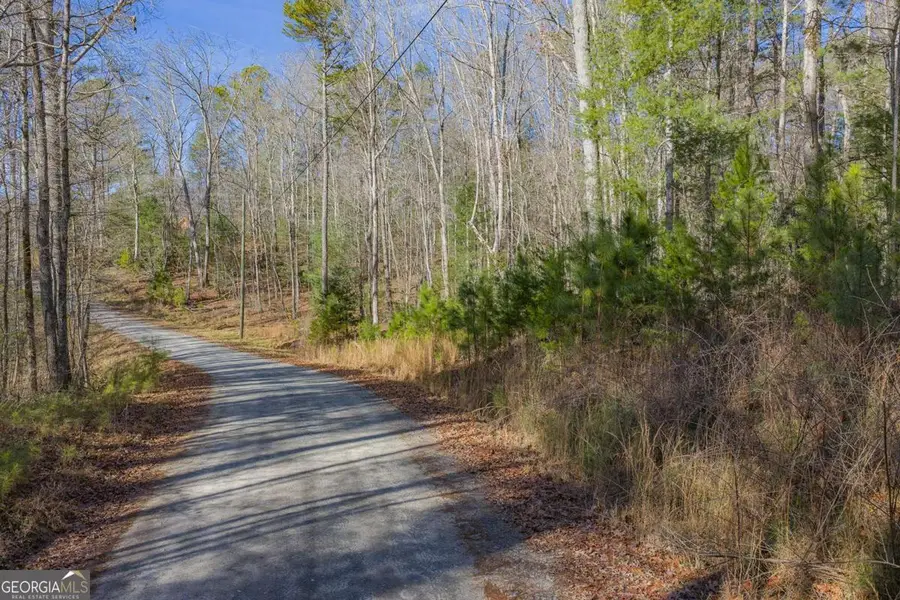 LOT 117 Jumper Drive, Ellijay, GA 30540 - Image #3