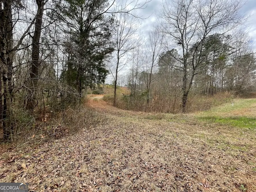 600 Reynolds Road, Woodbury, GA 30293 - #2