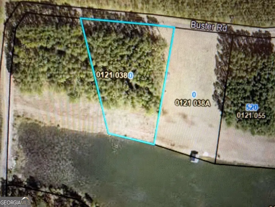 0 Jimmie Ree Lane, Bristol, GA 31518 - Image #2