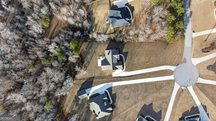 295 Walden Pond Trail, Senoia, GA 30276 - Image #2