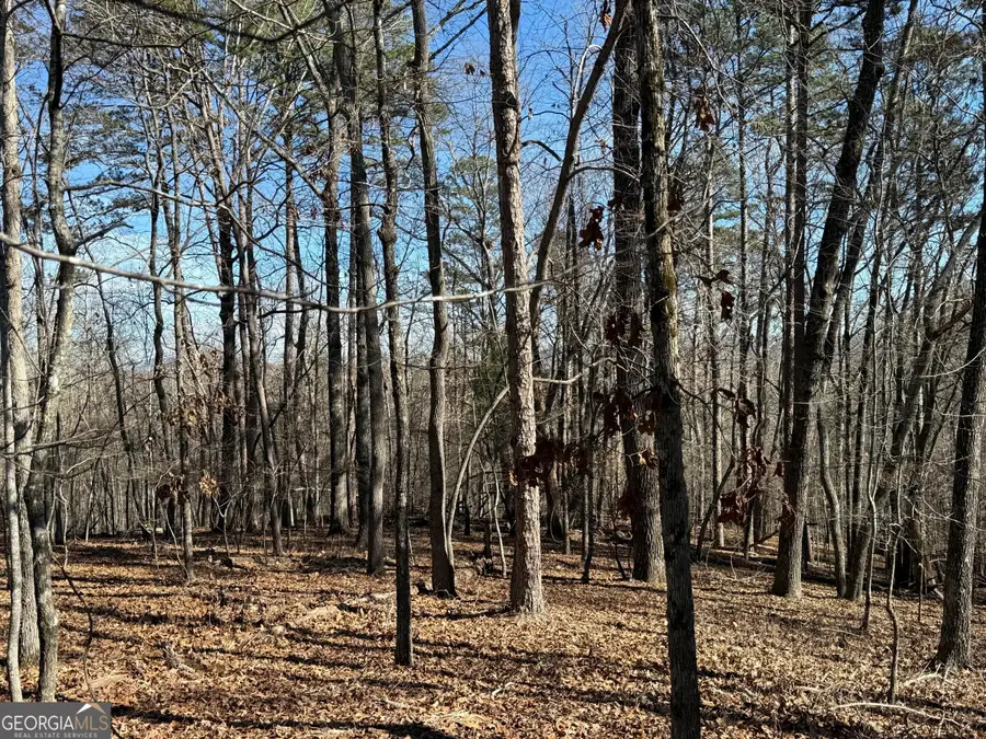 0 Grindle Bridge Road, Dahlonega, GA 30533 - Image #2