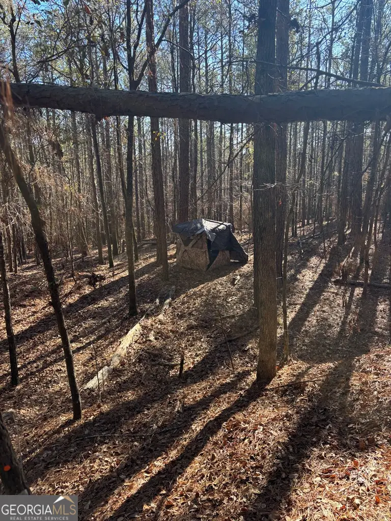 00 Geneva Highway, Talbotton, GA 31827 - Image #3