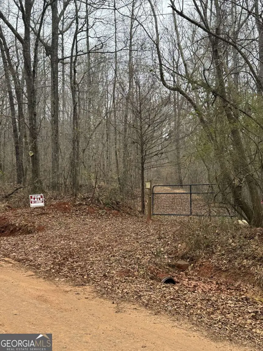 1931 Bethel Church Road, Luthersville, GA 30251 - Image #2