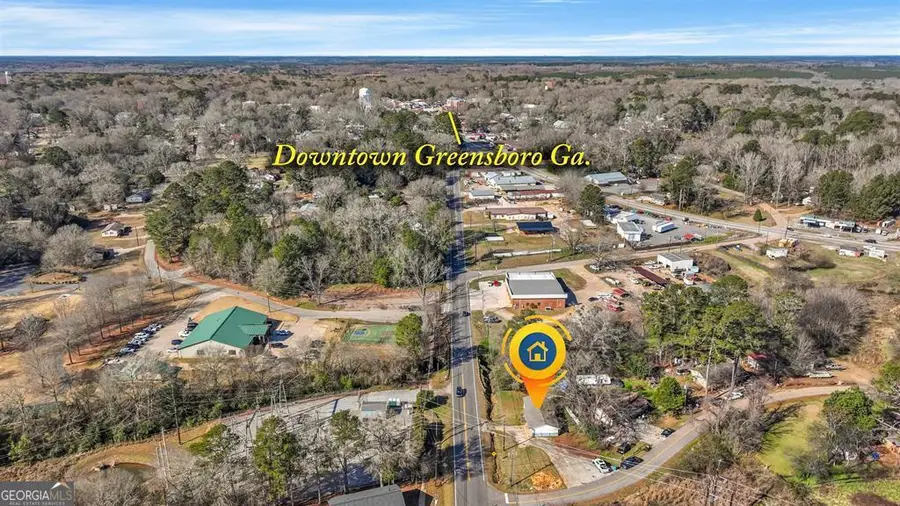 1160 Siloam Road, Greensboro, GA 30642 - Image #3