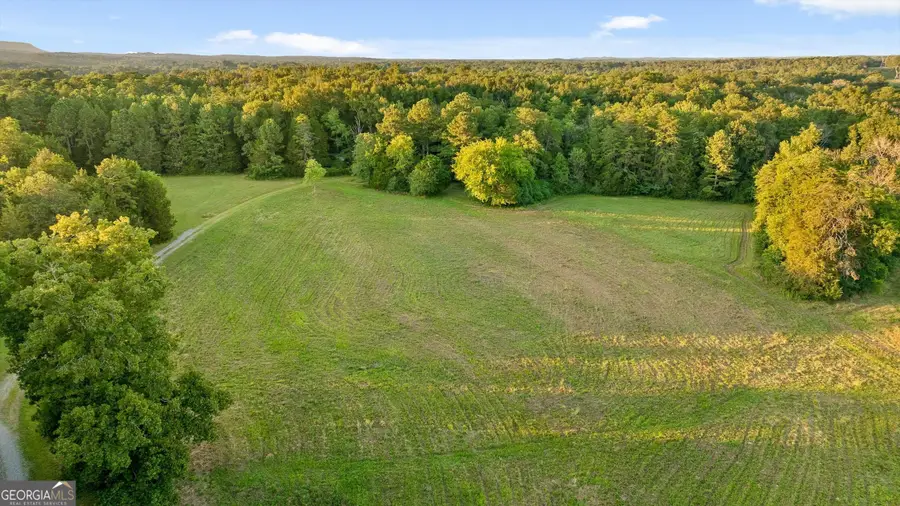 657 Brock Road, Chickamauga, GA 30707 - #2