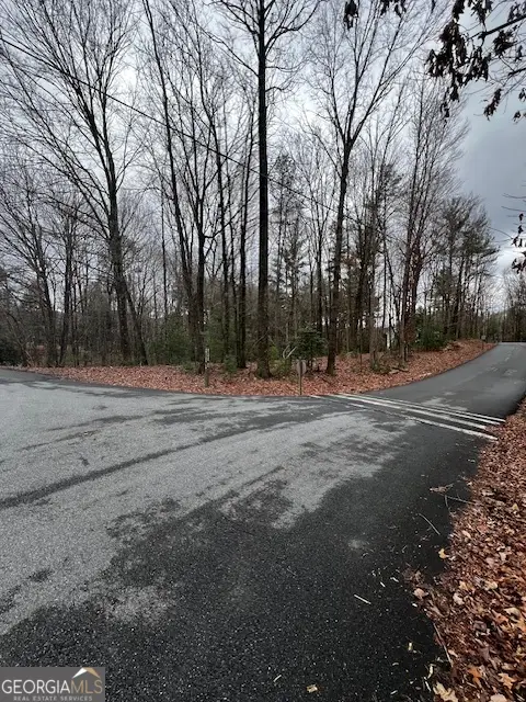 LOT 156 Etowah Drive, Ellijay, GA 30540 - Image #3