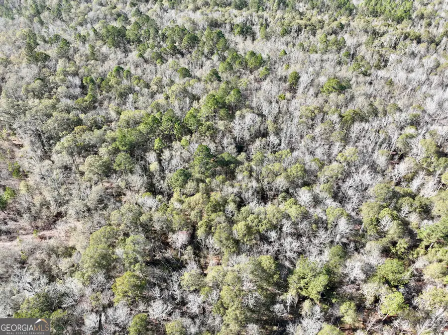 0 Rentz Road, Dublin, GA 31021 - Image #3