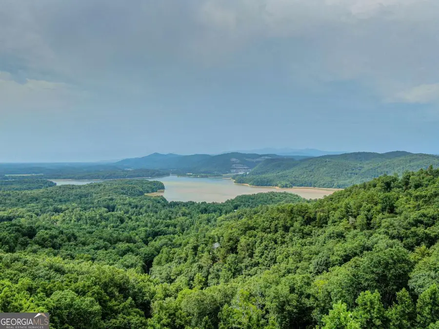 965 Raccoon Ridge Ne, Ranger, GA 30734 - Image #2