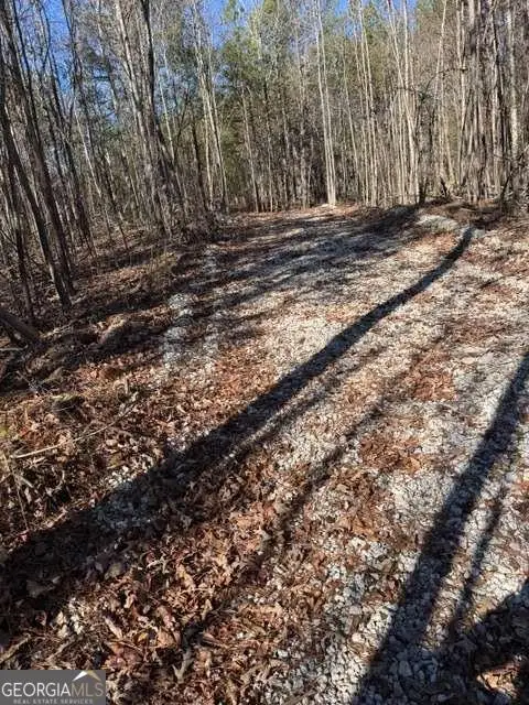 727 Central High Road, Carrollton, GA 30116 - Image #3