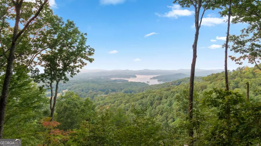 907 Ripshin Mountain Road, Blue Ridge, GA 30513 - #2