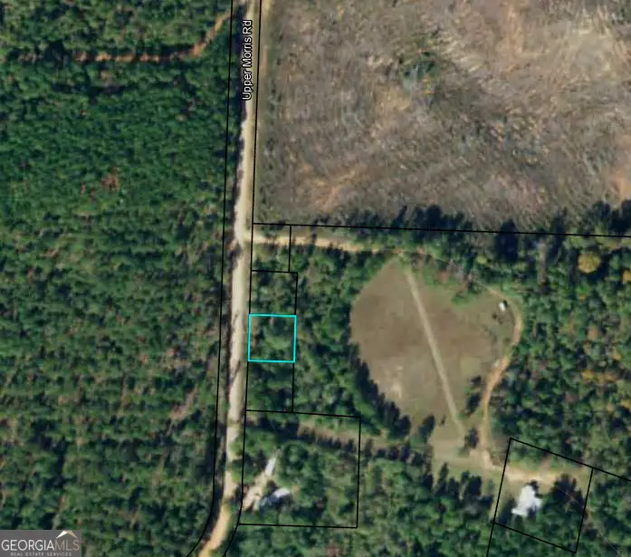 99 Night Shift Road, Morris, GA 39867 - Image #1