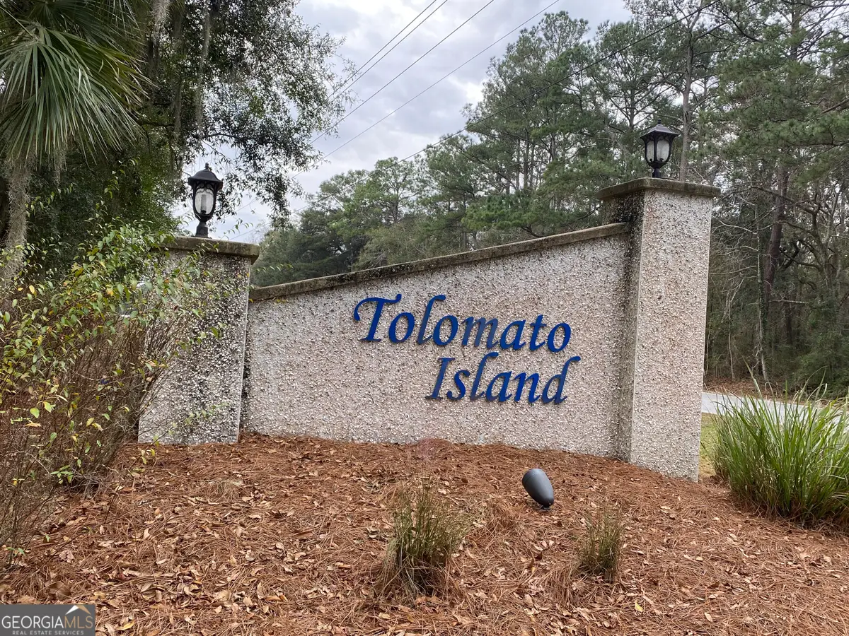 1 Old Cane Mill Drive, Darien, GA 31305 - #1