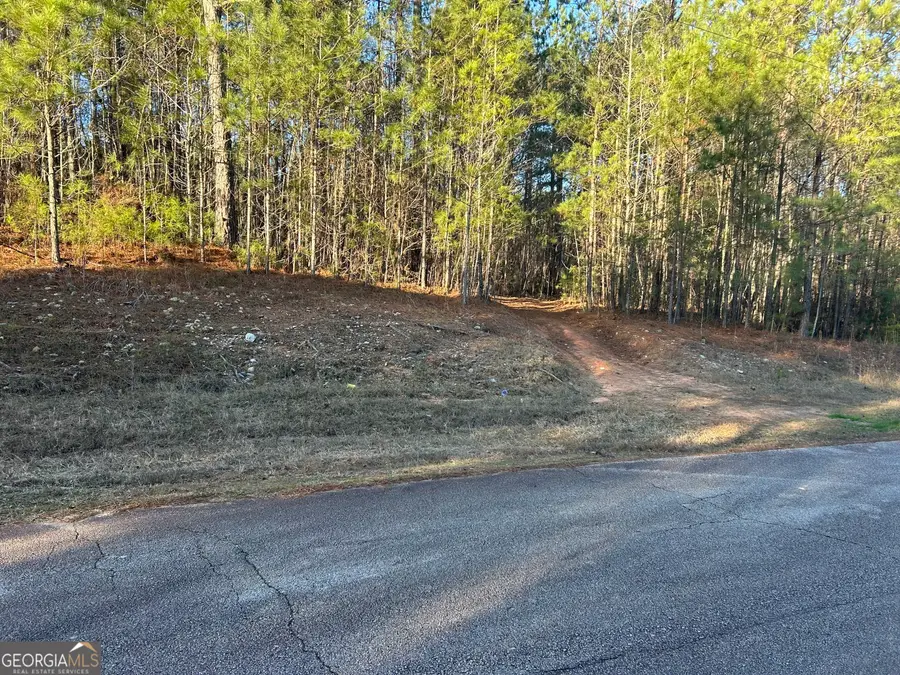 0 Erskine Drive #LOT 16, Monticello, GA 31064 - Image #2