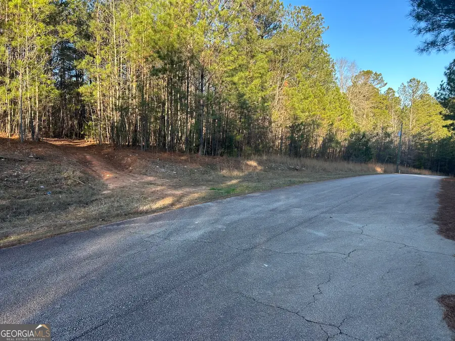 0 Erskine Drive #LOT 16, Monticello, GA 31064 - Image #3