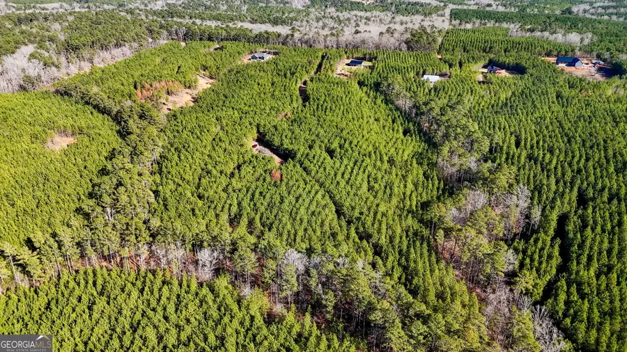 375 Bagley, Forsyth, GA 31029 - Image #2