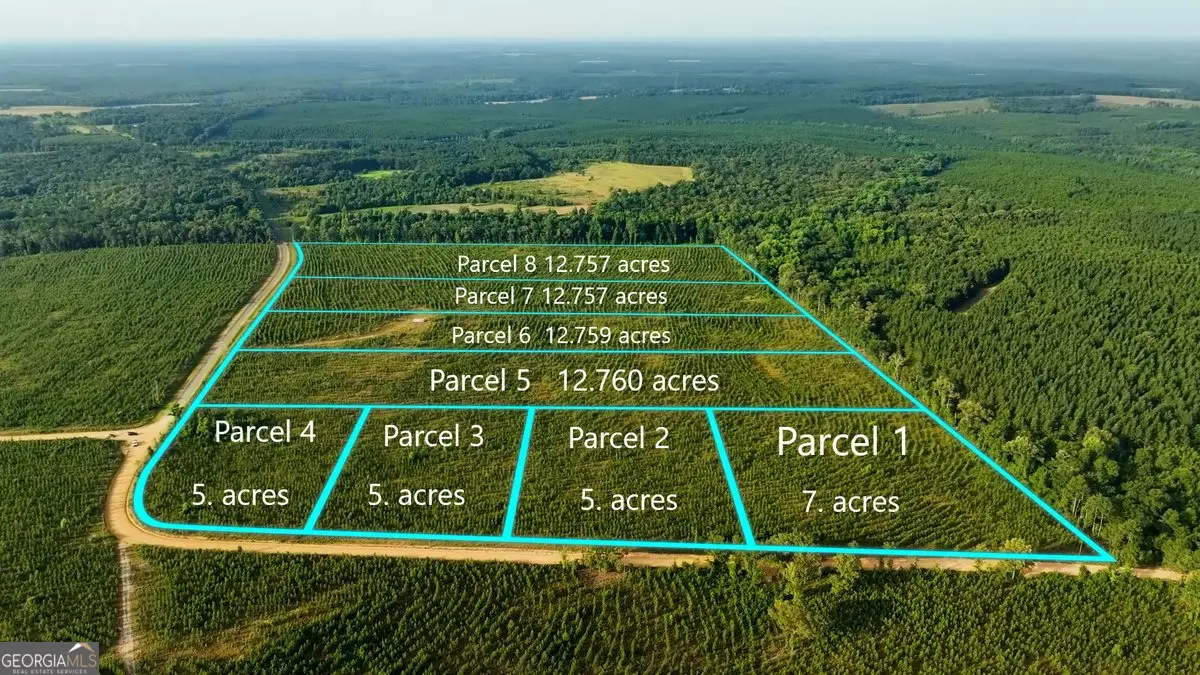 PARCEL 3 Whipporwill Road, Reynolds, GA 31076 - #1