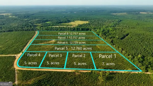 PARCEL 6 Carl Rodgers Road, Reynolds, GA 31076