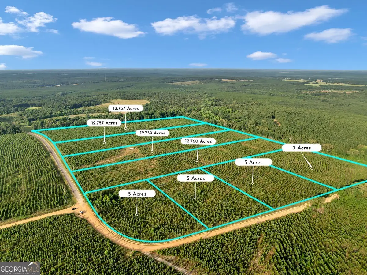 PARCEL 8 Carl Rodgers Road, Reynolds, GA 31076 - #1