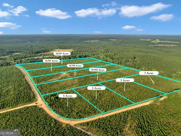 PARCEL 8 Carl Rodgers Road, Reynolds, GA 31076