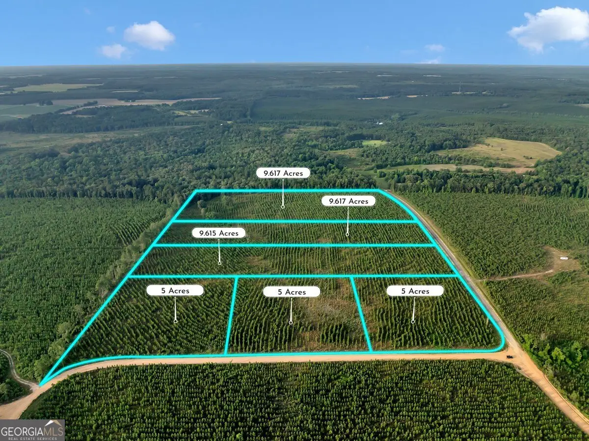 PARCEL 12 Carl Rodgers Road, Reynolds, GA 31076 - #1