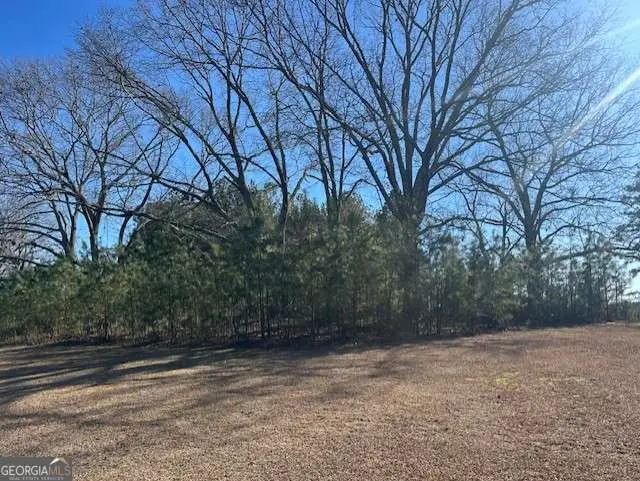 3511 New High Shoals Rd, Bishop, GA 30621 - #1