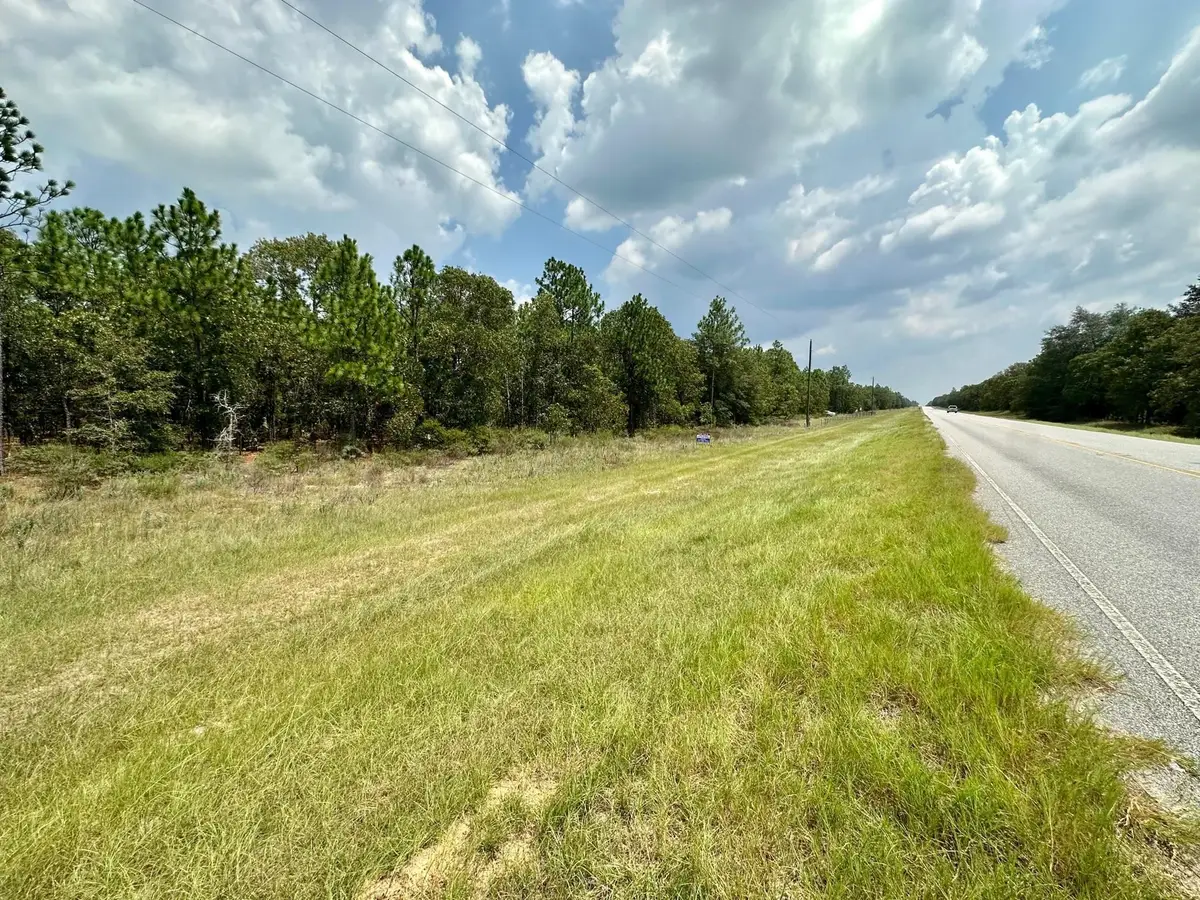 0 Highway 46, Twin City, GA 30471 - Image #1