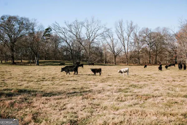 0 Crawfordville Road, Stephens, GA 30667