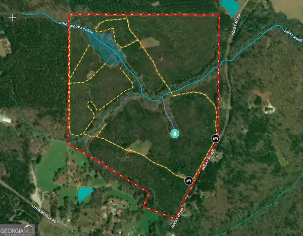 178.235 AC Rocky Mount Road, Luthersville, GA 30251