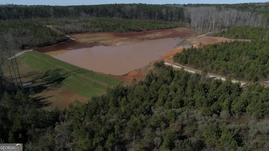 178.235 AC Rocky Mount Road, Luthersville, GA 30251 - Image #3