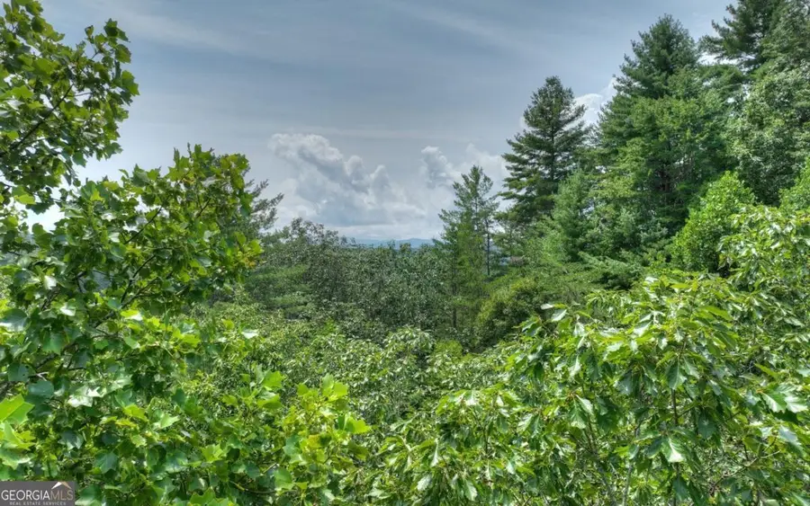 LT 22 Rolling Hills Drive #22, Morganton, GA 30560 - Image #3