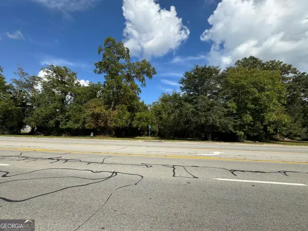 0 Golden Isles Highway, Lumber City, GA 31549