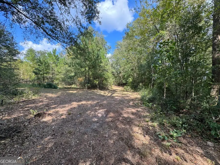 0 Golden Isles Highway, Lumber City, GA 31549 - #2