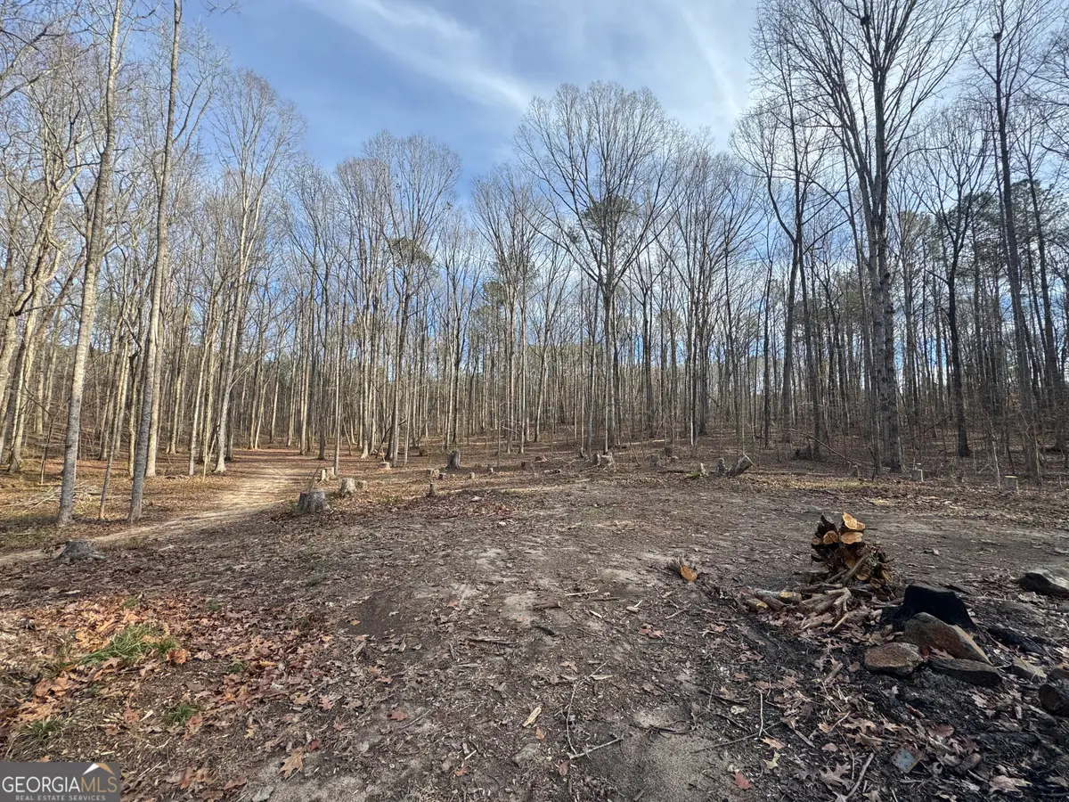 0 Alder Road, Franklin, GA 30217 - Image #1