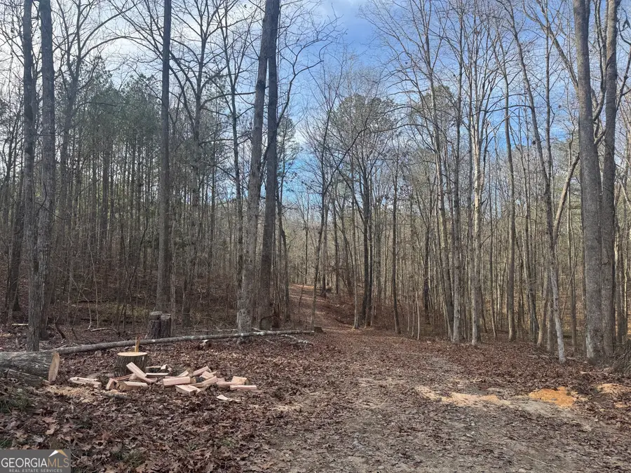 0 Alder Road, Franklin, GA 30217 - Image #2