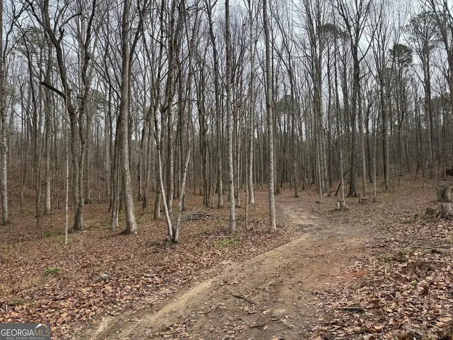 0 Alder Road, Franklin, GA 30217 - Image #3