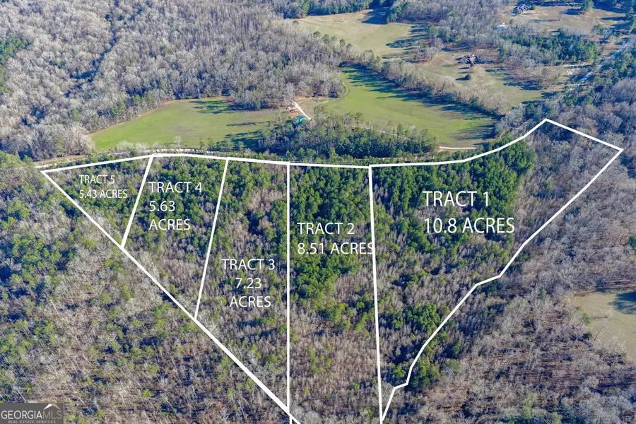 TRACT 3 Dunbar School Road, Williamson, GA 30292 - Image #3