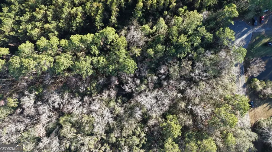 0 Virginia Ave, Woodbine, GA 31569 - Image #3