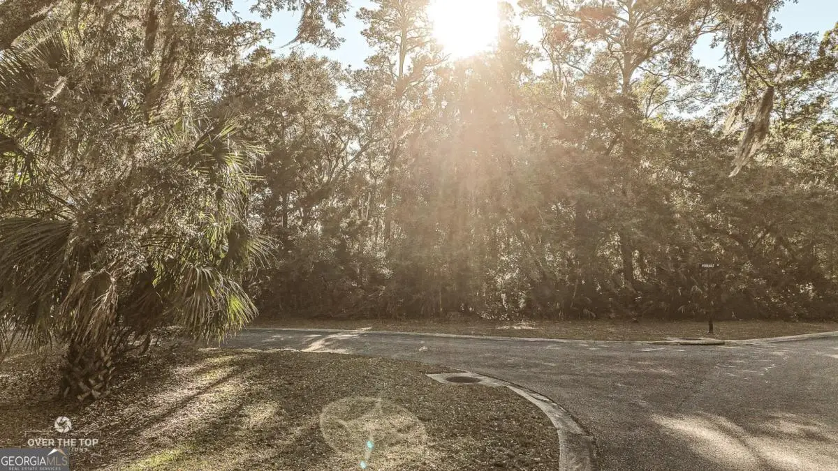 V/L 593 Tattnal Lane, Saint Marys, GA 31558 - Image #1