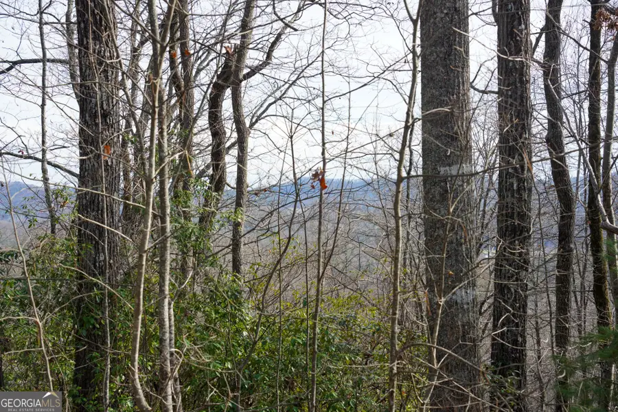 0 High Holly #3HH, Tiger, GA 30576 - Image #2