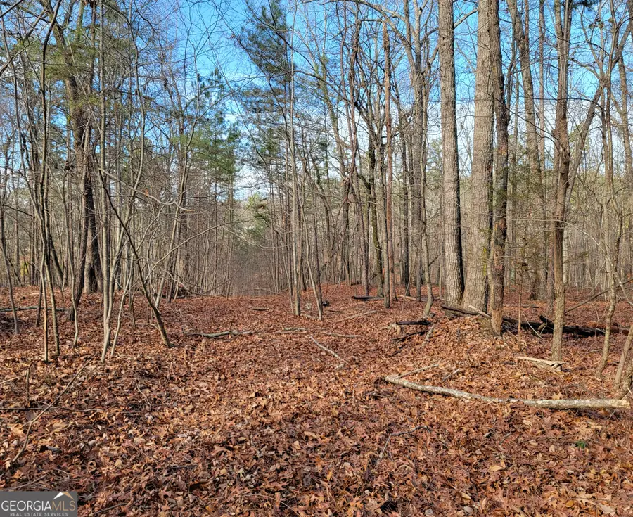 0 Rocky Hollow Road, Summerville, GA 30747 - #2