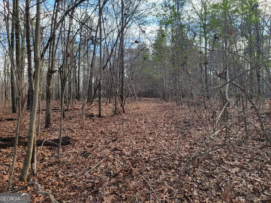 0 Rocky Hollow Road, Summerville, GA 30747 - #3