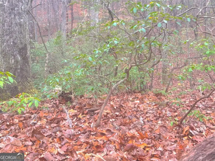 0 Crooked Creek, Jasper, GA 30143 - #3