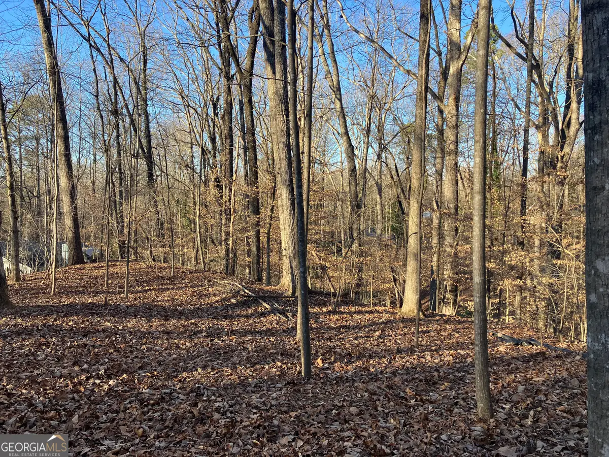 170 Magnolia Street, Mountain Park, GA 30075 - #1