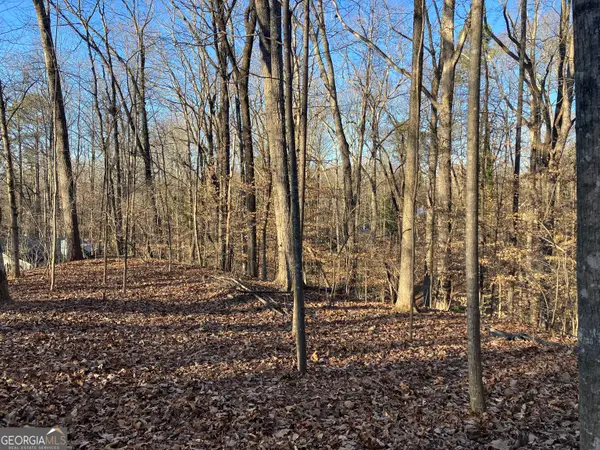 170 Magnolia Street, Mountain Park, GA 30075