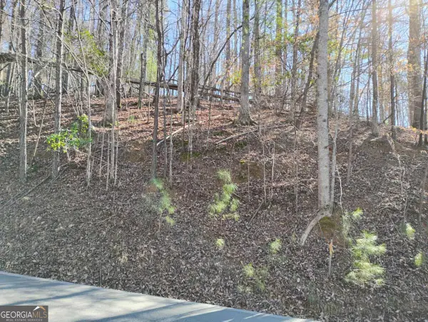 LT 2090R Newport Drive #2090R, Ellijay, GA 30540