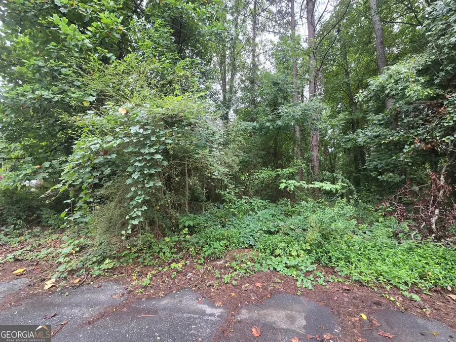 8043 Sparrow Court, Jonesboro, GA 30238 - #3