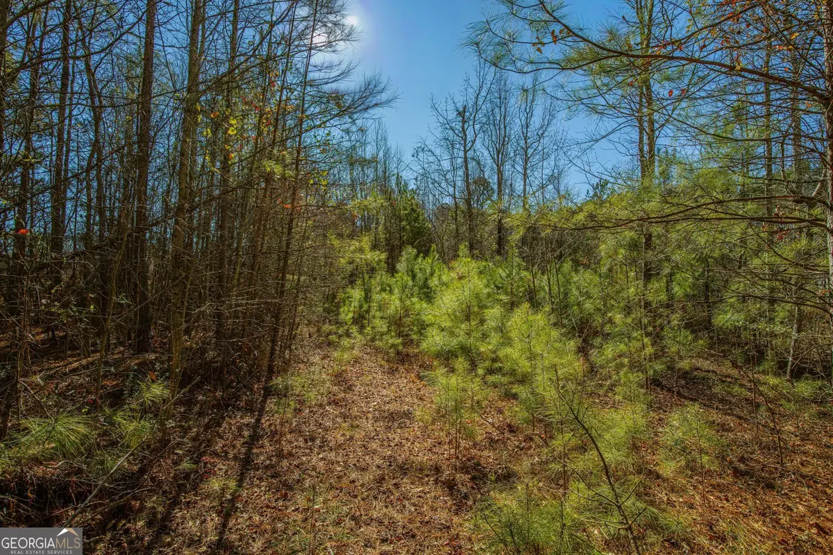 842 Woodchase Drive, Monroe, GA 30655 - #1