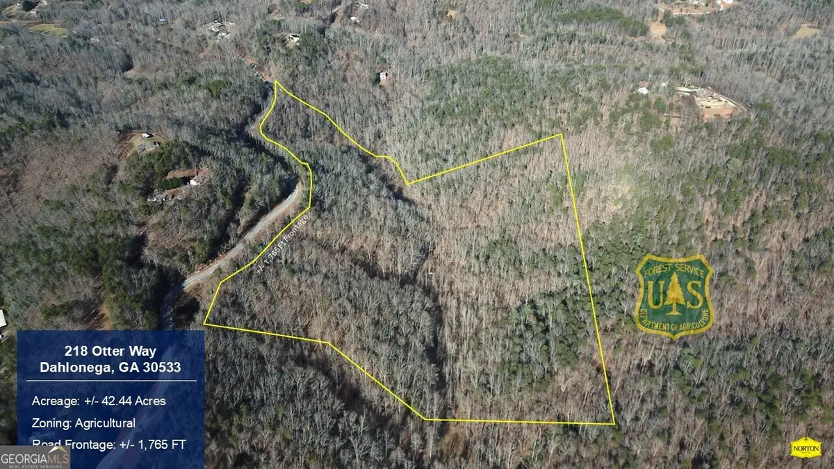 218 Otter Way, Dahlonega, GA 30533 - #1