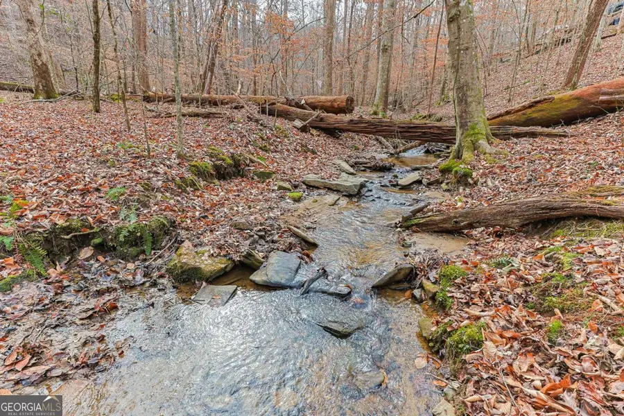 30 Chancel Circle #654R, Ellijay, GA 30540 - #3