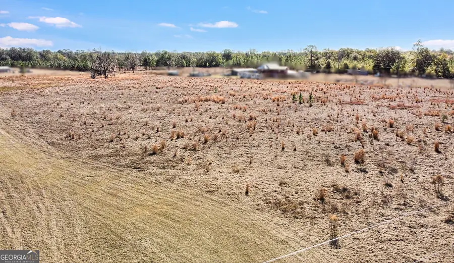 0 Sylvester Drive, Nahunta, GA 31553 - #2